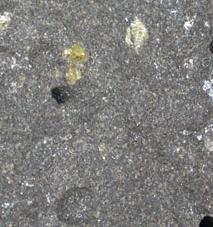 Pirosseno. È comune solo nelle rocce mafiche. Si mostra in cristalli verde scuro, corti, tozzi, equidimensionali.