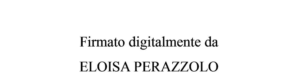 5. Il Responsabile del Procedimento è l ing.