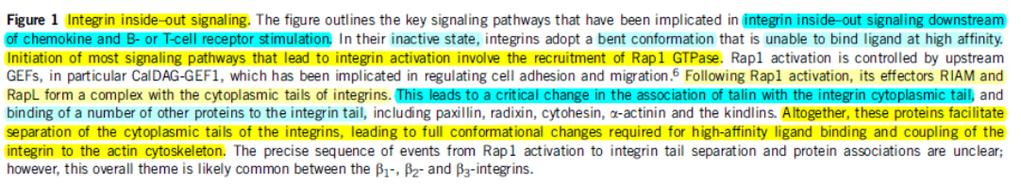 Leukocyte adhesion deficiency