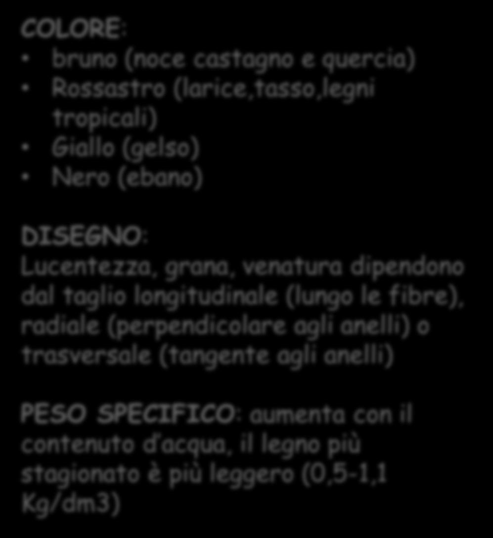 PROPRIETA Proprietà del legno Il legno ha una grande diffusione di utilizzo perché è: Leggero Resistente a flessione, Facilmente lavorabile COLORE: bruno (noce castagno e quercia) Rossastro