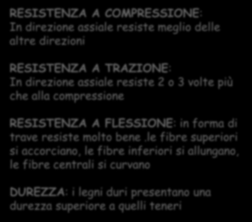 PROPRIETA Proprietà del legno RESISTENZA A COMPRESSIONE: In direzione assiale resiste meglio delle altre direzioni RESISTENZA A TRAZIONE: In direzione assiale resiste 2 o 3 volte più che alla