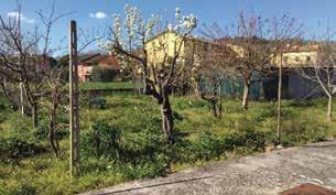 Immersa in un grande parco di 5000 mq, conserva caratteristiche storiche tipiche del luogo.