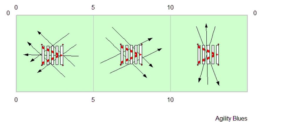 Esempi:Eliminazione-Rifiuti. 1.Il cane entra ed esce dal salto in lungo nella direzione sbagliata = Eliminazione 2.Il cane entra ed esce seguendo la direzione corretta = Rifiuto. 3.