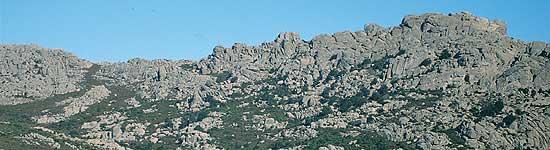 Il Monte Limbara (in gallurese Monti di Limbara; in sardo Monte 'e Limbari) è un massiccio montuoso situato nella Sardegna nord-orientale.