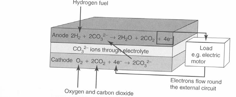 H 2 : celle a combustibile Celle a