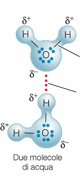 Proprietà dell acqua Il ghiaccio galleggia Fonde e si congela Calore di evaporazione: Caloria: energia per innalzare di un C un gr di acqua