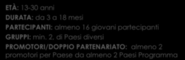 LE AZIONI DEL PROGRAMMA GiA 2007-2013 È un progetto che promuove il dialogo con le autorità pubbliche, contribuisce alla partecipazione dei giovani alla vita democratica, incrementa la conoscenza dei