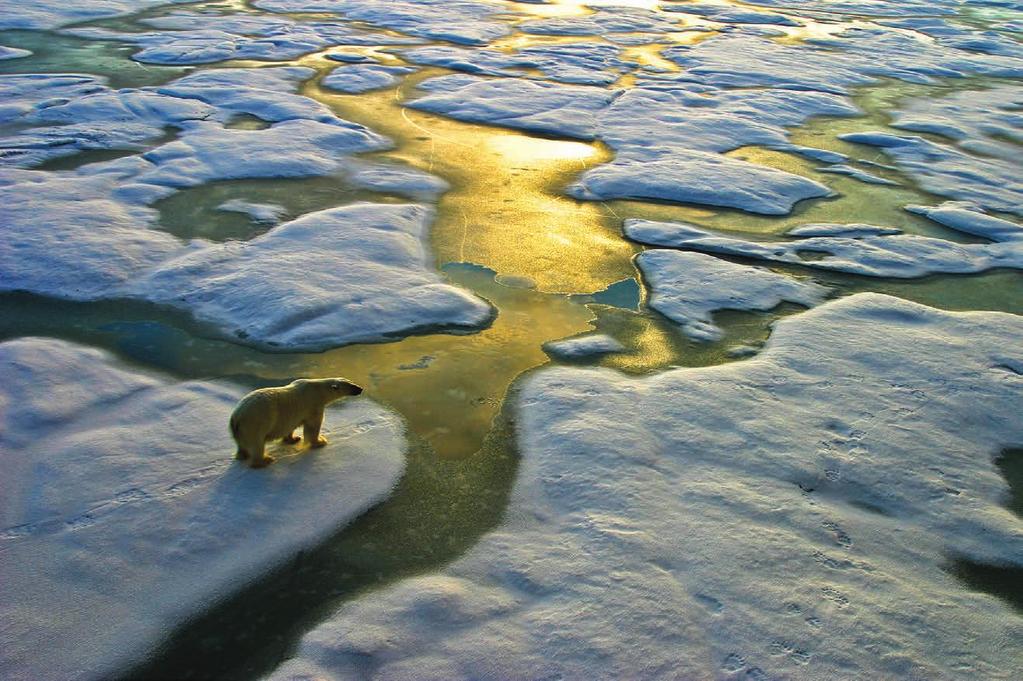 ABBIAMO INIZIATO A RIDURRE LE NOSTRE EMISSIONI DI CO2 TERFLOR UTILIZZA SOLO