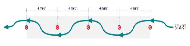 7 anni da persona di età non superiore a 65 anni) e che sul veicolo sia apposto un contrassegno recante la lettera P, conforme a quanto previsto dall'articolo 122, comma 4, del codice della strada. 7.