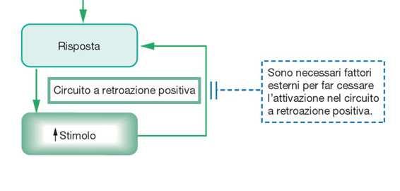 2) Meccanismi a feed-back positivo La risposta rinforza lo stimolo, spingendo la variabile ancora più lontano dal proprio valore