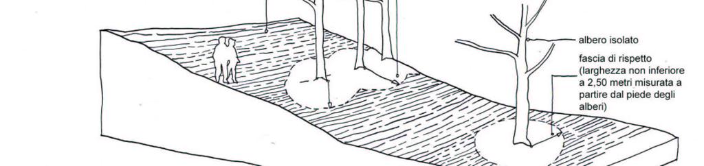 30 comma 1 (mantenimento di una fascia di rispetto o capezzagna larga almeno m 2,50 misurati a partire dal ciglio esterno della strada ovvero dal ciglio esterno della scarpata