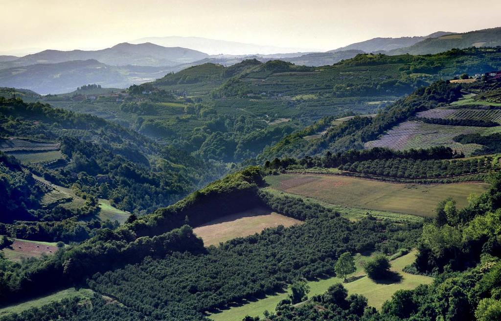 GLI ELABORATI DEL PIANO Relazione; Norme di Attuazione; Catalogo dei beni paesaggistici del Piemonte; Schede degli ambiti di paesaggio; Elenchi delle componenti e delle unità di paesaggio; Tavole di