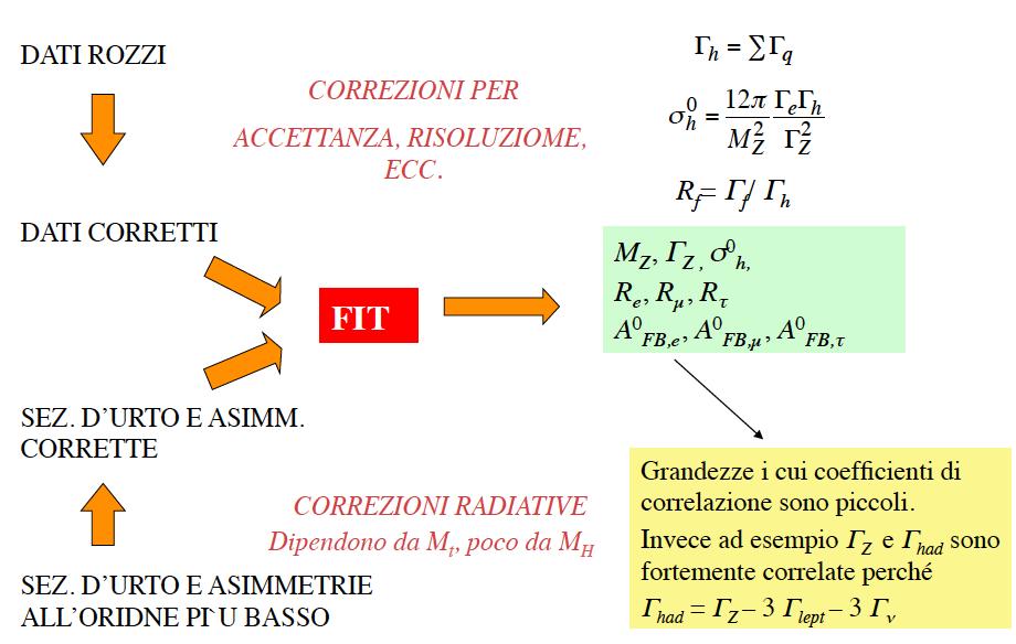 il Fit