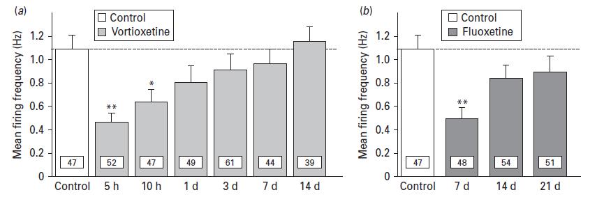 Effetto di Vortioxetina e Fluoxetina sul firing serotoninergico dal NDR Recupero firing neuronale su ratti con vortioxetina vs fluoxetina: 24h vs 14 gg con somministrazione in continuo attraverso