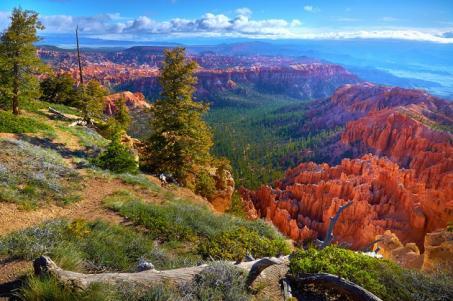 colorazioni sfumate dal rosa all'arancione, dal viola al bianco. Nel pomeriggio consiglaimo di visitare il paesino di "Old Bryce".