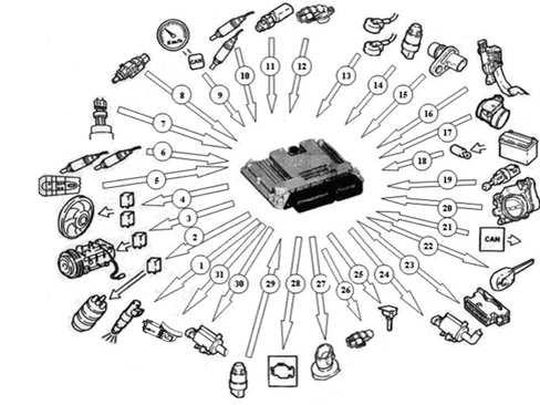 1. Elettroiniettori 2. Elettropompa combustibile 3. Compressore condizionatore 4. Elettroventola raffreddamento motore 5. Comando cruise - control (4 input digitali) 6.