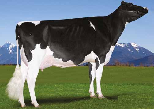 Ladys-Manor Ruby Jen EX 90 - EX MAMMELLA EX 90 - EX MAMMELLA EX 94 EX