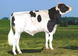 MAMMELLA EX 90 EX MAMMELLA EX 92 EX MAMMELLA 2.00 365 12.061 Kg 4.7 % 3.1% Latte +1412 GR +58 PR +41 N.D.