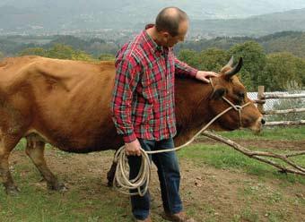 Premessa Arsia ha avviato un percorso di lavoro sull agricoltura sociale in Toscana fin dal 2002, creando una rete che oggi conta nella regione oltre un centinaio di realtà.