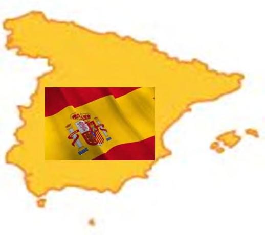 Contesto istituzionale di riferimento - Confronto tra esperienze internazionali e nazionali Esperienze internazionali nell ambito delle unioni d acquisto Livello centrale -Spagna In Spagna non esiste