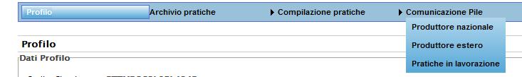 1 Accesso Per quanto riguarda il produttore nazionale l accesso avviene tramite la voce di menù Comunicazione PILE, scegliendo l opzione Produttore Nazionale oppure Produttore Estero per i