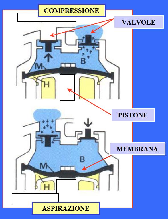 Pompa a pistone-membrana Attualmente sono le più diffuse; la