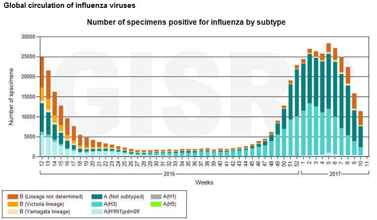 SITUAZIONE INTERNAZIONALE La circolazione dei virus influenzali nell emisfero Nord è in diminuzione.