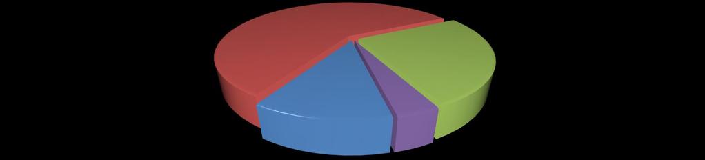 Ricercatore a tempo determinato 5% Ricercatori Universitari 28% Composizione Personale Docente Professori Ordinari 33% Professori Ordinari Professori Associati Ricercatori Universitari Ricercatore a