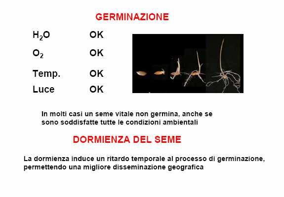 Interruzione della dormienza post-maturazione: Quando l umidità scende al di sotto di un valore soglia In seguito ad un trattamento a