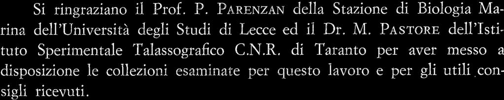 PREMESSE : Aporrhais pespelecani (E.