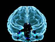 Prospective food consumption Energy intake Glucose