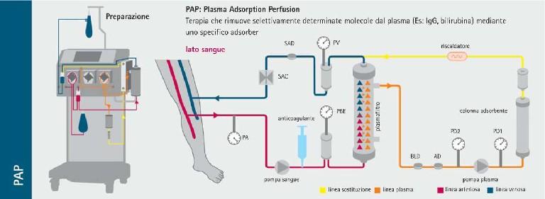 PAP Plasma