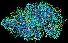 L origine della vita Dai monomeri ai polimeri Gli esperimenti di Miller e degli altri ricercatori hanno dimostrato che dai gas dell atmosfera primitiva si sono formate molecole organiche di interesse