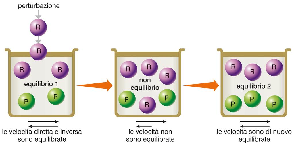 Il principio di Le Châtelier (II) Aggiungendo un reagente a un sistema all equilibrio, questo si sposta nella direzione che consente il