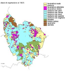 descrive lo stato attuale della vegetazione seguendo il metodo fitosociologico, per cui è molto più analitica nella classificazione delle formazioni forestali e arbustive che non in quelle di origine