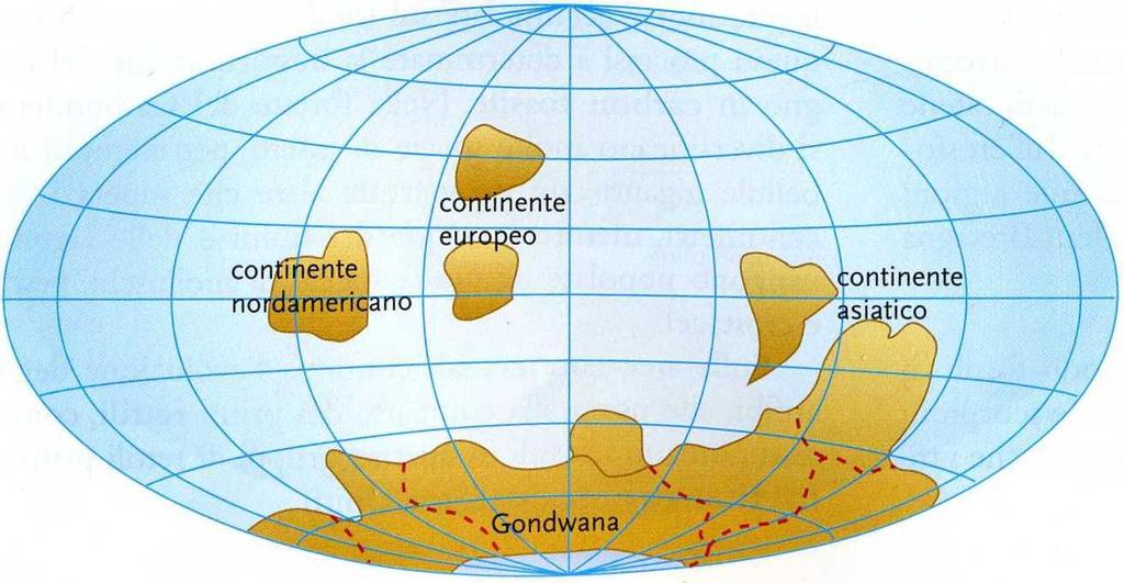 La fine dell EONE CRIPTOZOICO Circa 600 milioni di anni fa era già