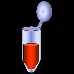 + AGAROSIO Incubazione con proteinase