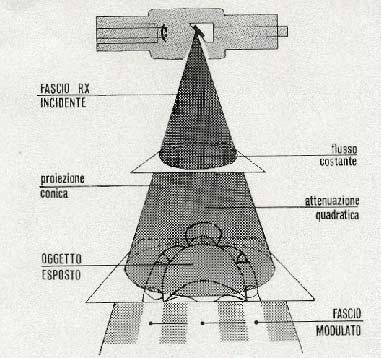 Immagini radiografiche Caratteristiche del fascio RX incidente flusso costante (omogeneità) proiezione
