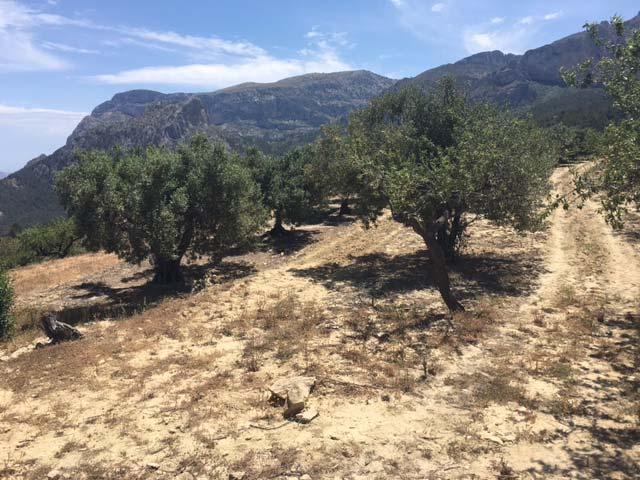 Zone soggette a vincoli naturali o ad altri vincoli