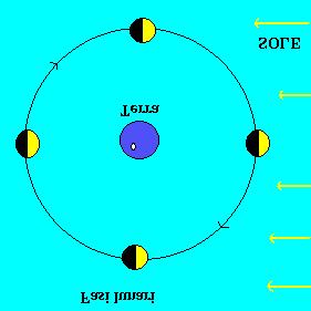 della Luna e quella della Terra è detta linea dei nodi. Questa linea si muove in senso orario (retrogrado) con un periodo di 18,6 anni.