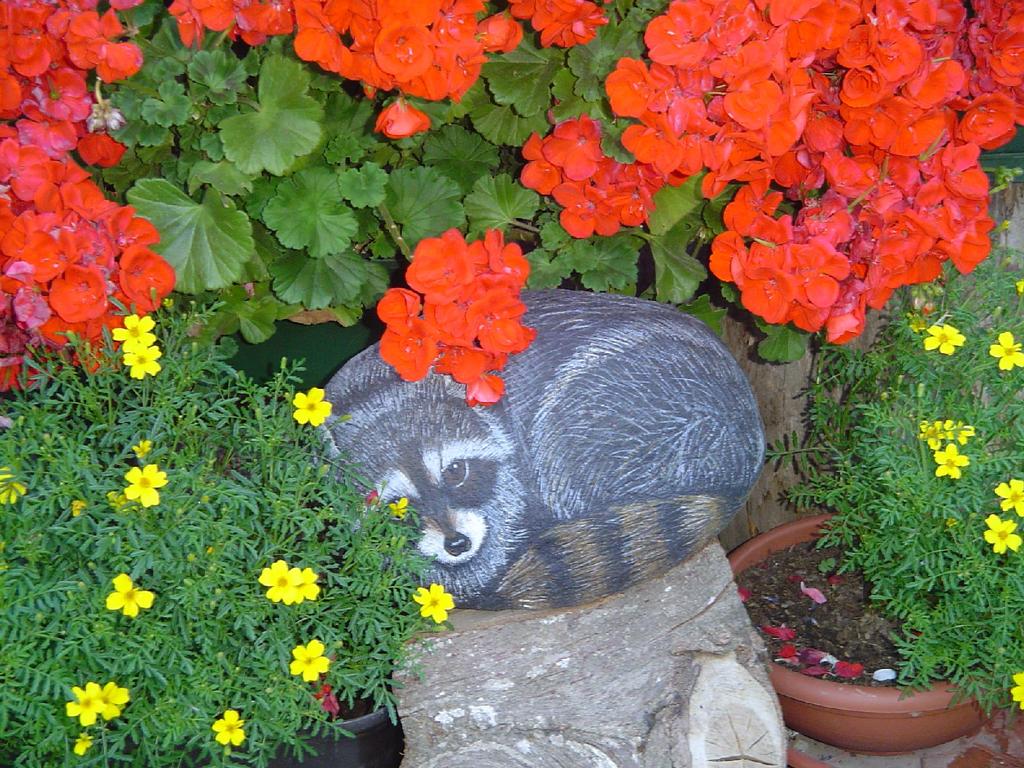 Il Signore Dio prese l'uomo e lo pose nel giardino