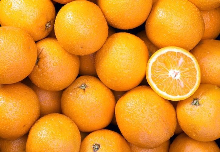 Sicilia, le risposte del Cra alla Tristezza degli agrumi Negli innesti occorre abbandonare l'arancio amaro.