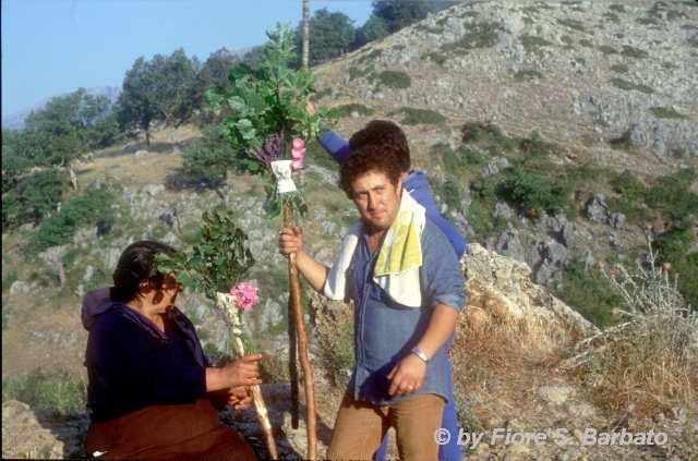 Si ha l auribaga di san Bastian a Camporosso e Dolceacqua e tantissime altre processioni e pellegrinaggi in Italia.