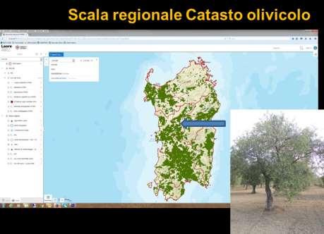 Uso dei sistemi informativi geografici a supporto dell agricoltura di precisione I