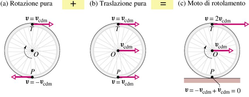 l moto di puro rotolamento l moto di puro rotolamento è un moto in cui il punto di conta<o tra la superficie ed il corpo che rotola (a sezione circolare) è fermo istante per istante: P 0.