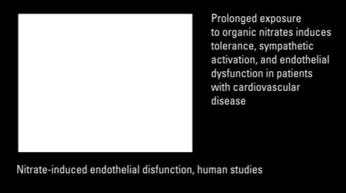 Evaluation of Ranolazine in Patients with Type 2 Diabetes Mellitus and Chronic Stable Angina. Results from the TERISA Randomized Clinical Trial.