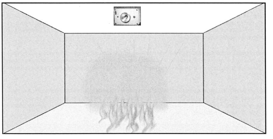 Modalità di funzionamento dei rilevatori di fiamma Sono rilevatori puntiformi che rilevano la presenza di un incendio in base alla presenza di radiazione infrarossa o radiazione ultravioletta emessa