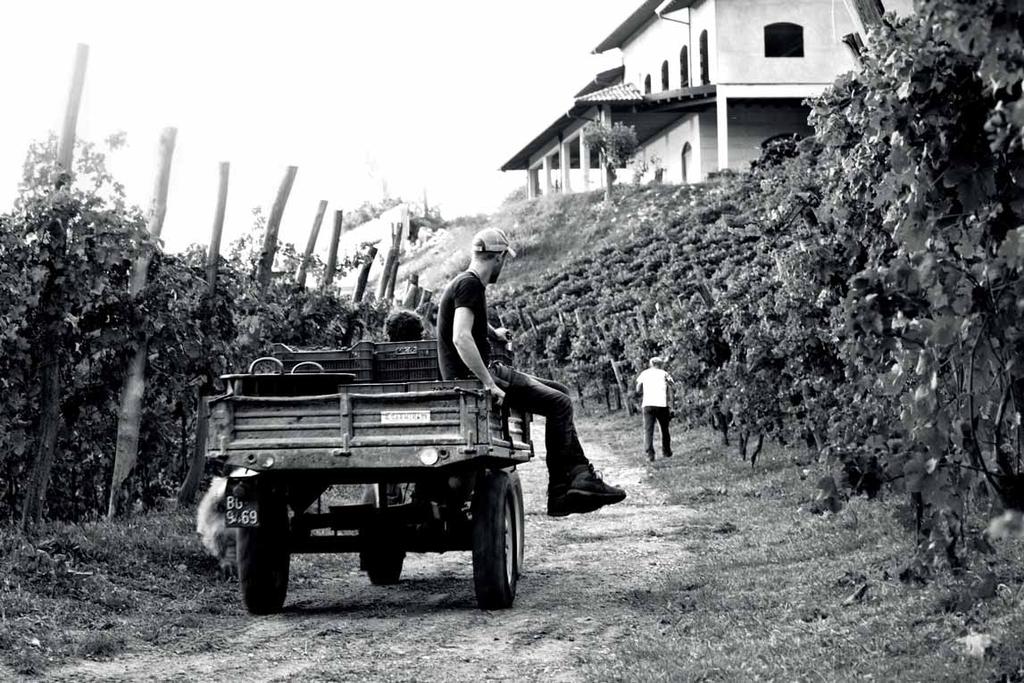 Cascina oro Oggi come un tempo le generazioni vanno avanti, e c è sempre chi sa apprezzare la vita contadina nella sua essenza 0 Tutti i anti NOEBRE Commem. dei efunti s. ilvia s. Carlo Borromeo s.