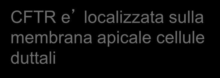 cloro e bicarbonati; secrezioni dense; evoluzione