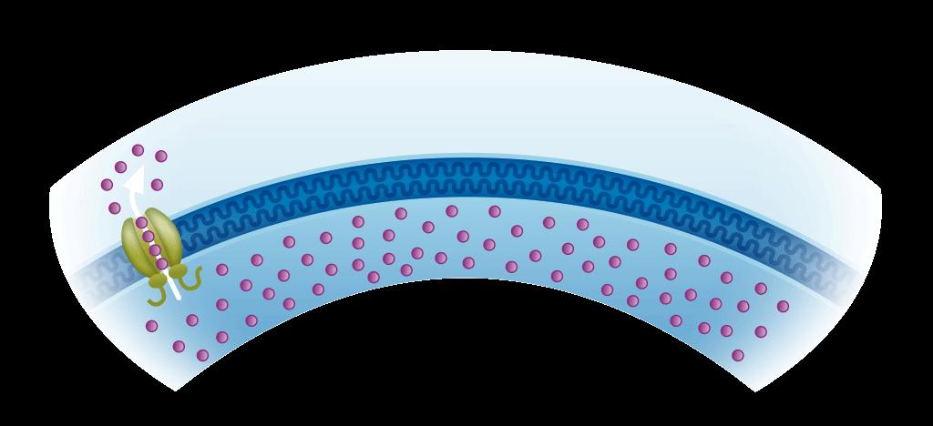 MODULATORI DELLA CFTR CLASSI DI MUTAZIONE: III IV CLASSI DI MUTAZIONE: I II V Mutazioni che